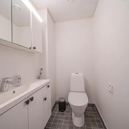 Levillas Sointuilevi 6a41 *