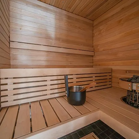 Levillas Sointuilevi 6a41 *