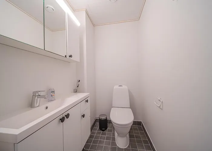 Levillas Sointuilevi 6a41 *